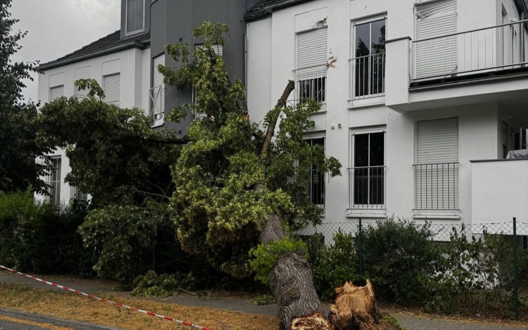 37 Einsätze wegen heftigen Sturms
